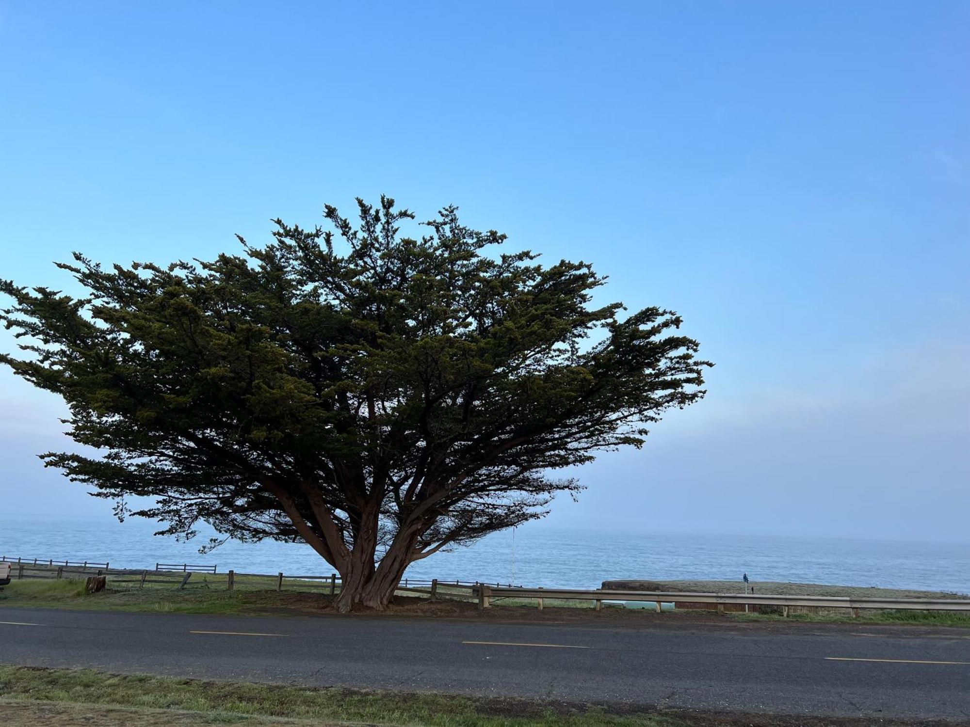 Shelter Cove Inn Of The Lost Coast מראה חיצוני תמונה